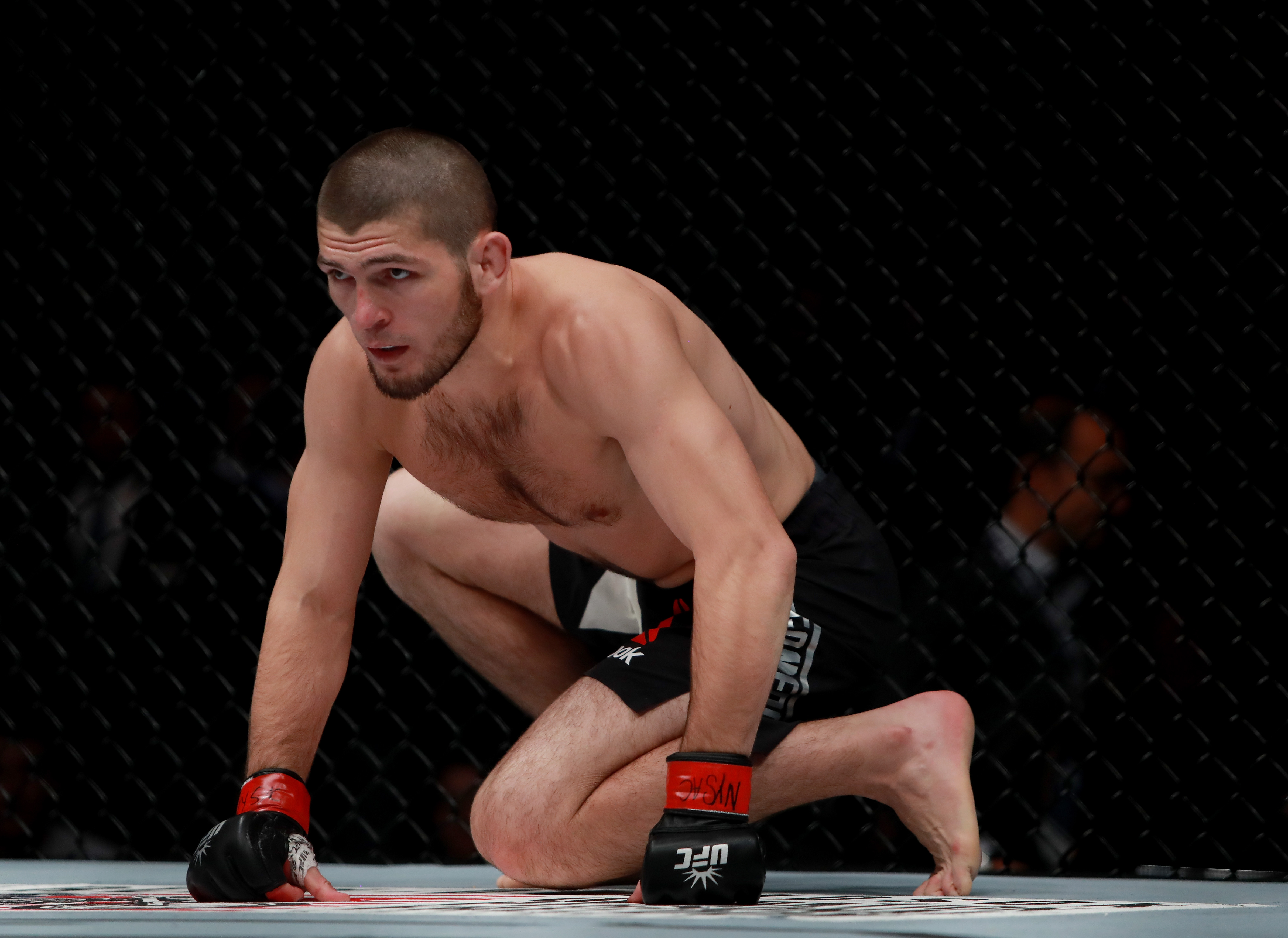 Весы хабиба нурмагомедова. Khabib Nurmagomedov UFC. Нурмагомедов Джонсон UFC 205.